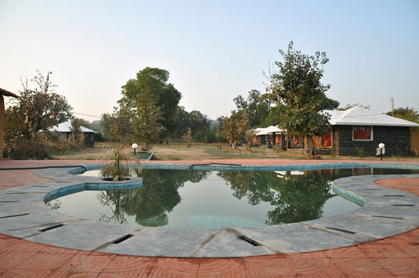 Bandhavgarh Meadows